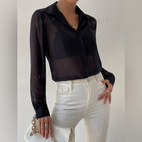 Extra Sheer Collared Button Up Blouse - Picture 2 of 6